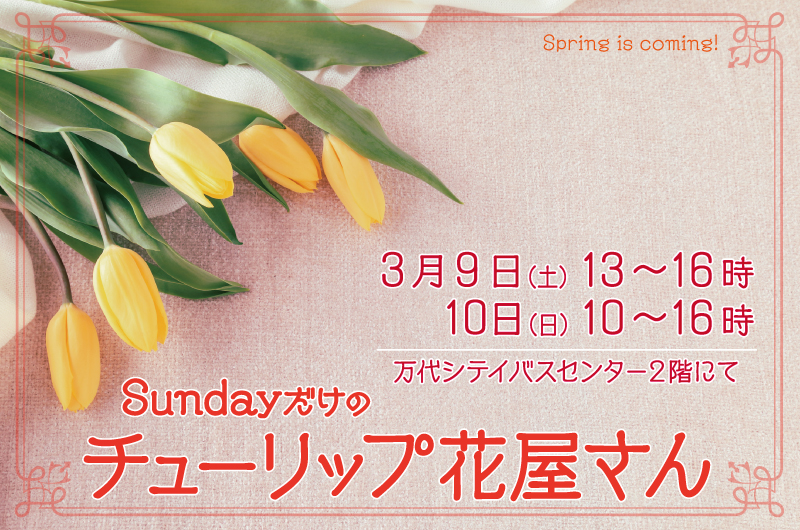 にいがた ちゅーりっぷ図鑑 | 3月も花屋さん、やります！